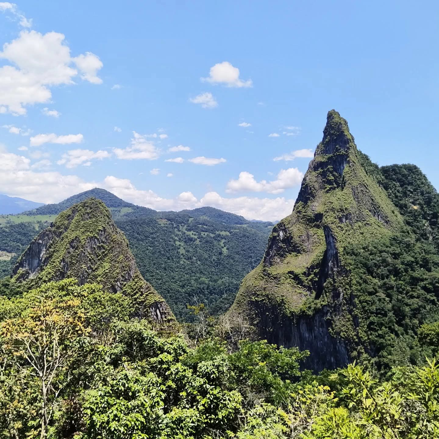 FB_IMG_1770656896966